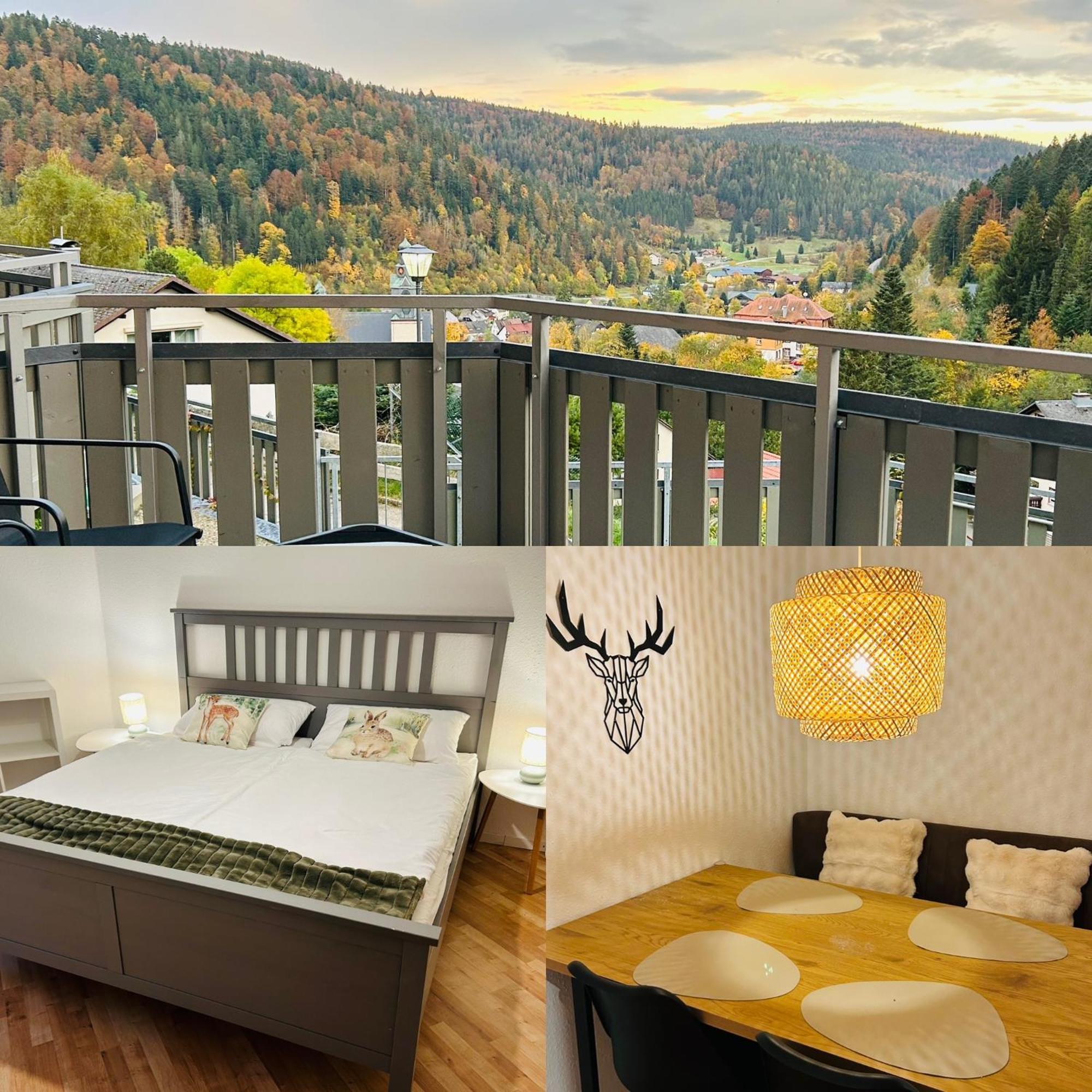 Ferienwohnung Panoramablick - Super Fuer Deine Familie Und Die Besten Aussicht In Ganz Todtmoos Buitenkant foto