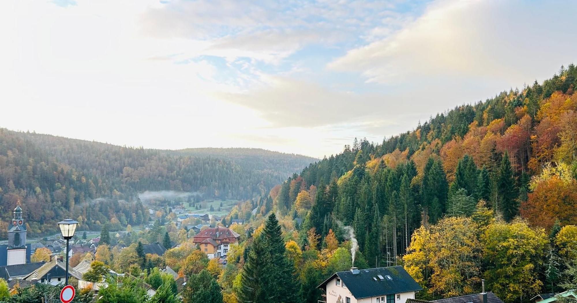 Ferienwohnung Panoramablick - Super Fuer Deine Familie Und Die Besten Aussicht In Ganz Todtmoos Buitenkant foto