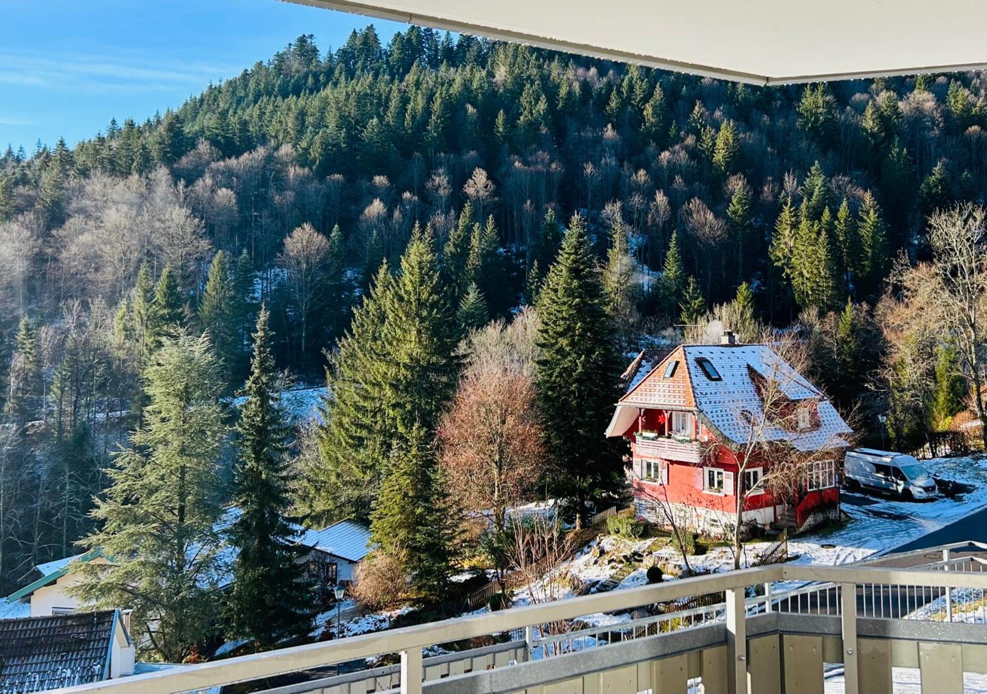 Ferienwohnung Panoramablick - Super Fuer Deine Familie Und Die Besten Aussicht In Ganz Todtmoos Buitenkant foto