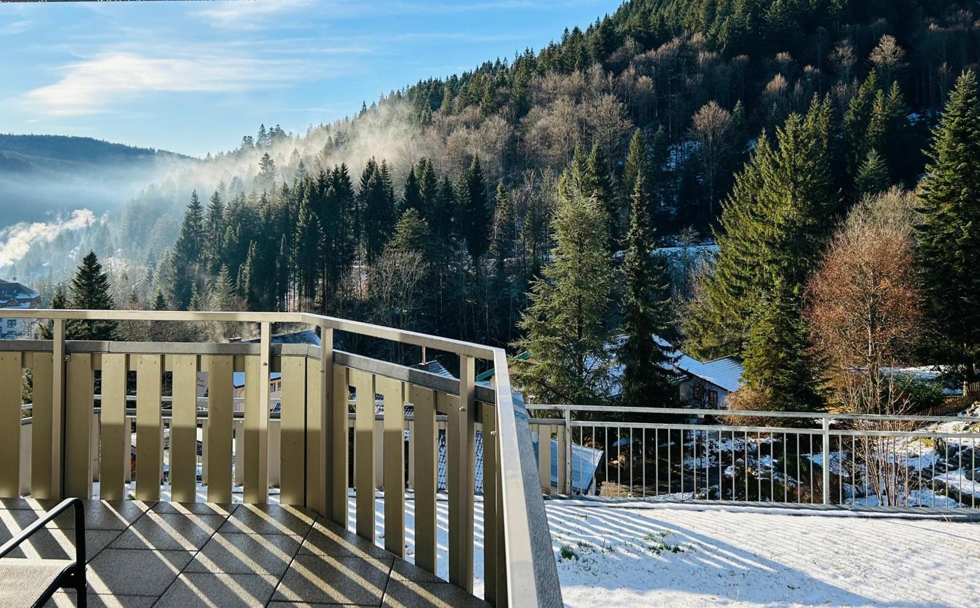 Ferienwohnung Panoramablick - Super Fuer Deine Familie Und Die Besten Aussicht In Ganz Todtmoos Buitenkant foto